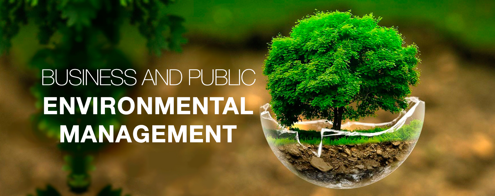 02 03 BusinessAndPublicEnvironmentalManagement destaque